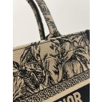 DIOR Tote latest spring and summer