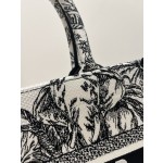 DIOR Tote latest spring and summer