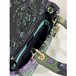 DIOR Lady embroidery latest spring and summer series