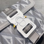 Dior Hit the Road 手袋