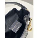 DIOR latest C'est series