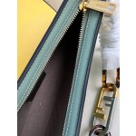 FENDI leather handbag model number: 225