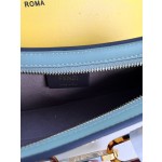 FENDI leather handbag model number: 225