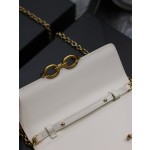 SAINT LAURENT LE MAILLON Plain grain cowhide chain bag model: 738109