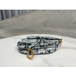 Dior 928 Paris Map Saddle Bag