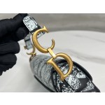 Dior 928 Paris Map Saddle Bag