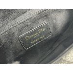 Dior 928 Paris Map Saddle Bag