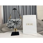 Dior 928 Map of Paris Saddle Bag 3351