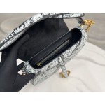 Dior 928 Map of Paris Saddle Bag 3351