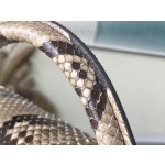 𝐋𝐎𝐔𝐈𝐒𝐕𝐔𝐈𝐓𝐓𝐎𝐍 N80931 Elephant Grey Red Inner Mini This Capuchines mini handbag