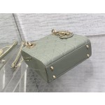 Dior three-grid patent leather rock ash 6603