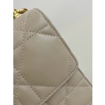 DIOR Miss Caro chain series