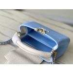 𝐋𝐎𝐔𝐈𝐒𝐕𝐔𝐈𝐓𝐓𝐎𝐍 M21887 Blue Capsines mini handbag