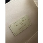 DIOR latest C'est series