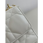 DIOR Miss Caro chain series