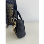 DIOR Lady latest micro series