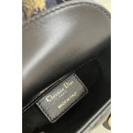 DIOR Lady latest micro series