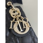 DIOR Lady latest micro series