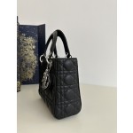 DIOR Lady Diana four grid series