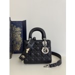 DIOR Lady Diana four grid series