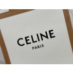 CELINE Small Canvas Bag Model: 193302