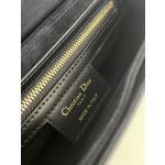 DIOR Signature series large Logo embossed logo