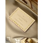 LOUIS VUITTON M82242 Gold This Nano Speedy Handbag