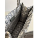 DIOR Tote latest size
