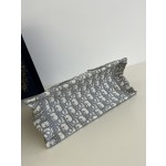 DIOR Tote latest size