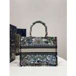 DIOR Tote latest spring and summer series