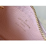 LOUIS VUITTON M82204 fan print this LV Gradient collection