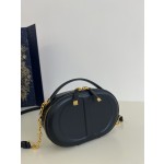 DIOR Signature series oval camera bag