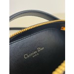 DIOR Signature series oval camera bag