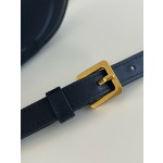 DIOR Signature series oval camera bag