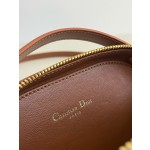DIOR Signature series oval camera bag