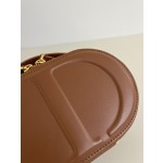 DIOR Signature series oval camera bag