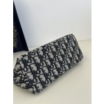 DIOR lunch box bag series