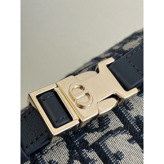 DIOR lunch box bag series