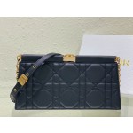 DlOR Caro Colle Noire Chain Carrying Bag