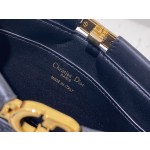 DlOR Caro Colle Noire Chain Carrying Bag