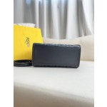 FENDI Sunshine Small Handbag