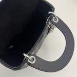 DIOR Princess Diana three grid series