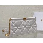 DlOR Caro Colle Noire Chain Carrying Bag