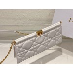 DlOR Caro Colle Noire Chain Carrying Bag