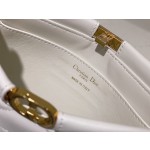 DlOR Caro Colle Noire Chain Carrying Bag