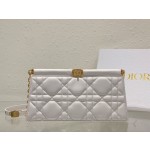 DlOR Caro Colle Noire Chain Carrying Bag