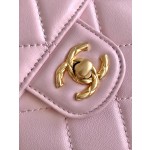 CHANEL 23Ss Spring/Summer Handle Cover Bag 3973