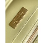 CHANEL 23Ss Spring/Summer Handle Cover Bag 3973