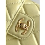 CHANEL 23Ss Spring/Summer Handle Cover Bag 3973