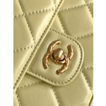 CHANEL 23Ss Spring/Summer Handle Cover Bag 4035